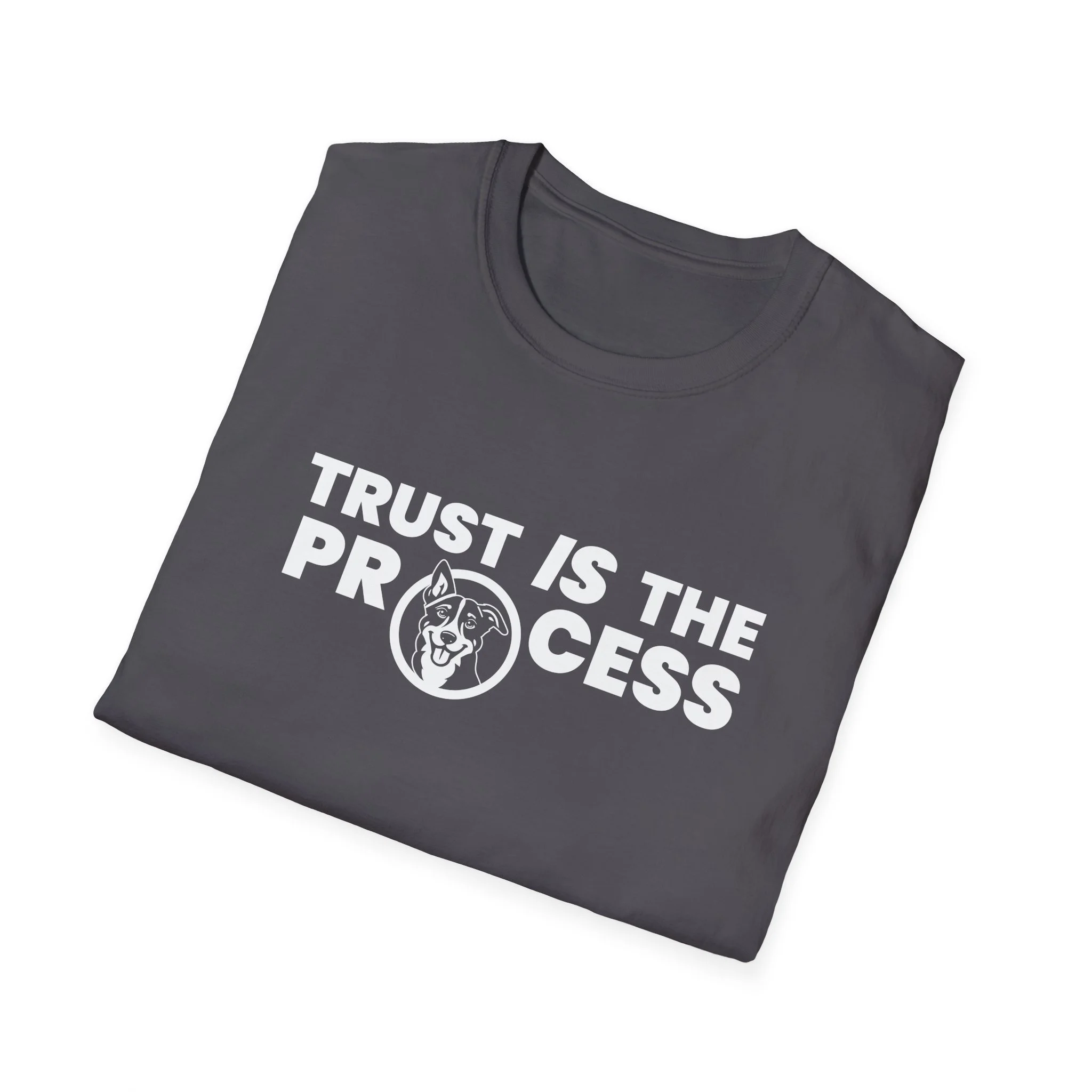 Trust IS The Process Lightweight Crew-neck Unisex T-Shirt