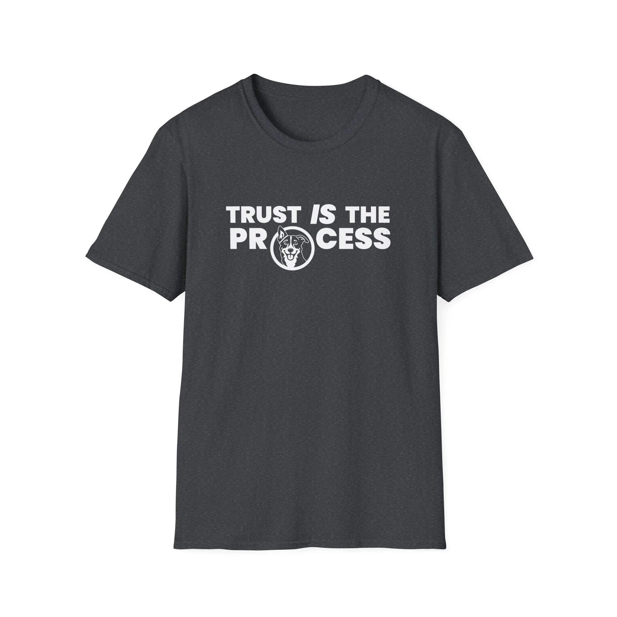 Trust IS The Process Lightweight Crew-neck Unisex T-Shirt