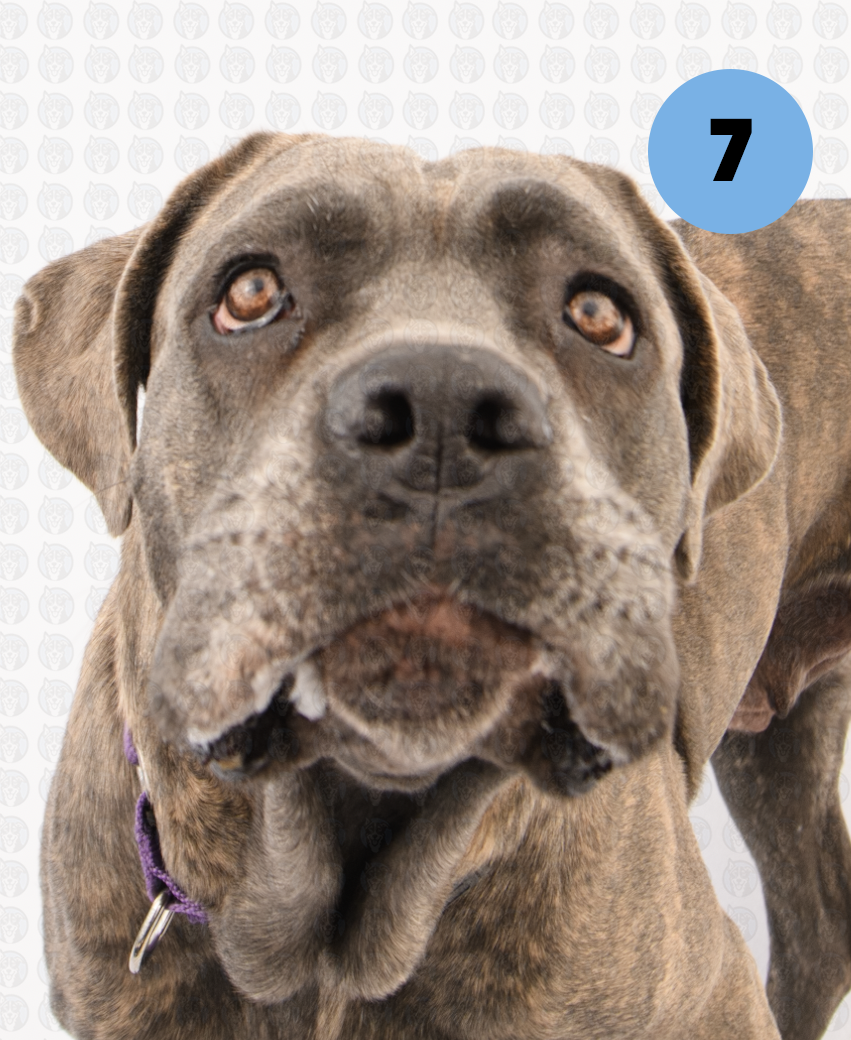 Screenshot 2026-01-12 at 11.53.42 AM copy.png