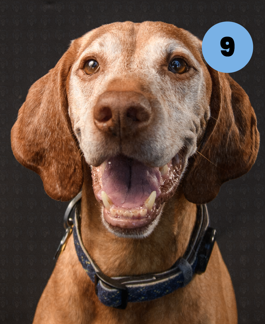 Screenshot 2025-10-23 at 1.27.48 PM copy.png