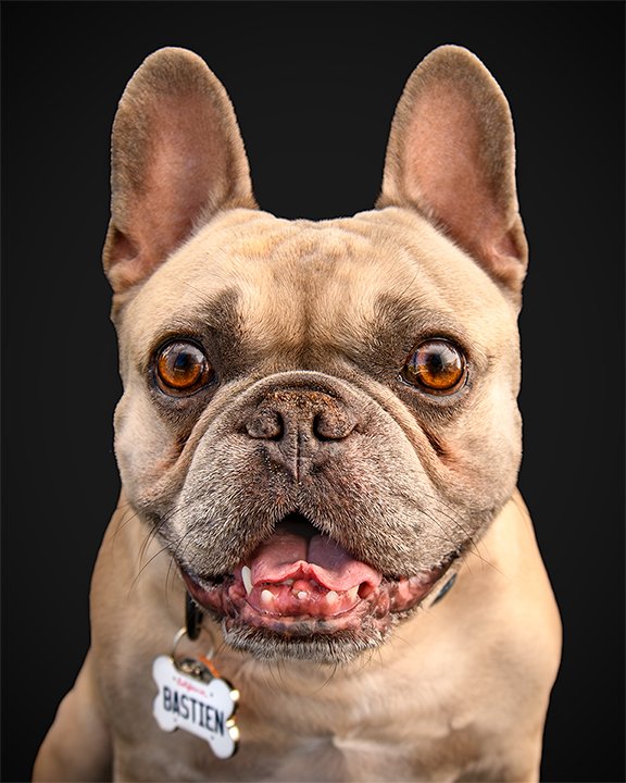 Bastien Image 1_4-5_Social.jpg