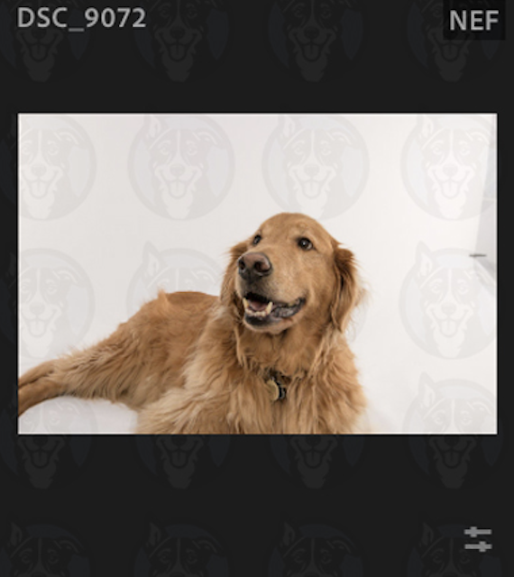 Screenshot 2025-02-01 at 8.49.16 AM.png