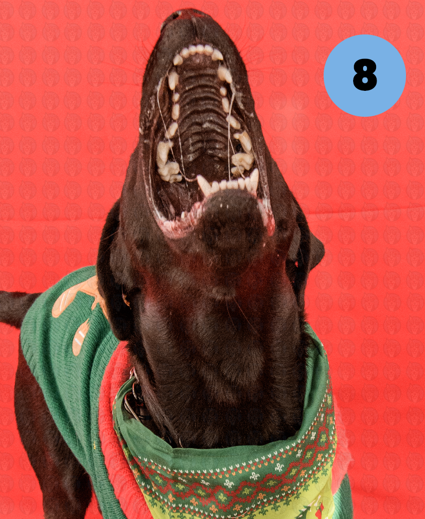 Photographer's Selects of Roxy and Molly Houston