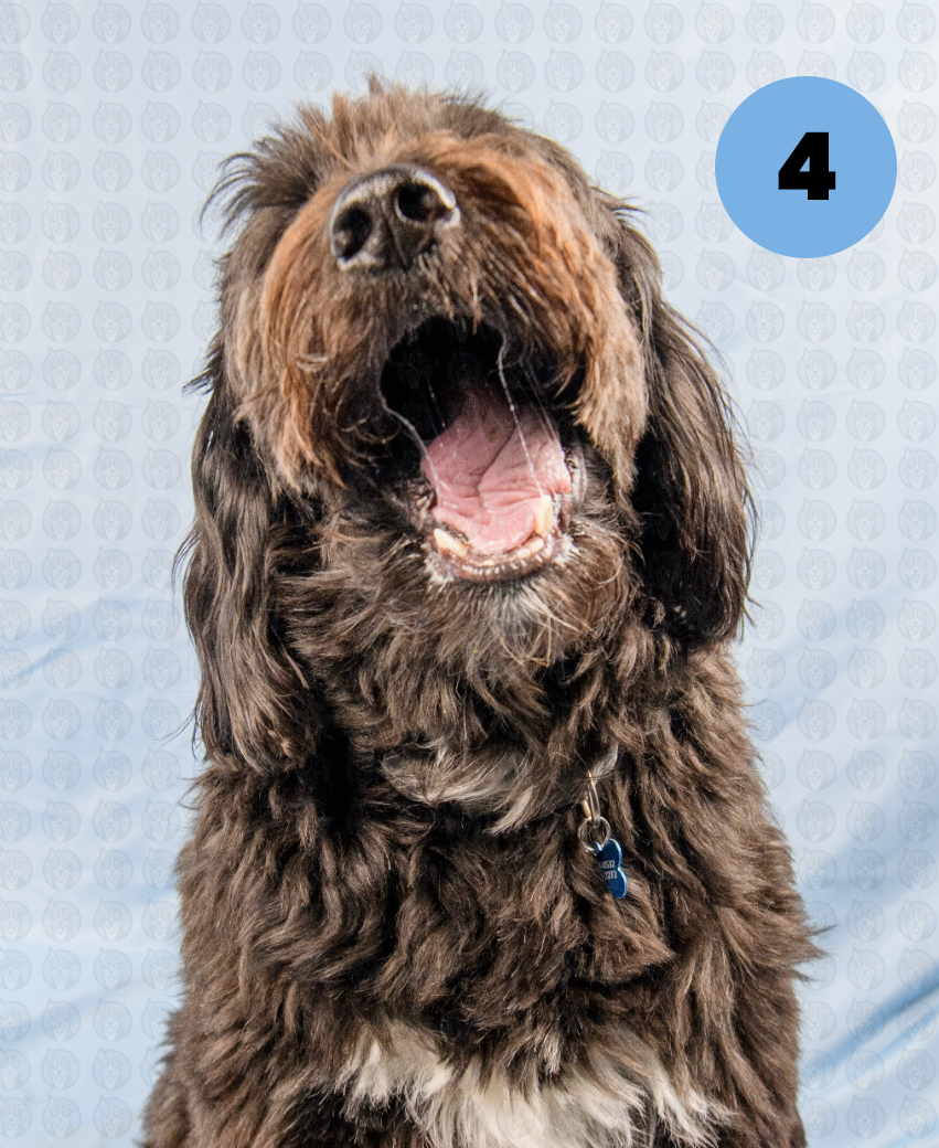 Screenshot 2025-12-22 at 7.01.51 AM copy.png