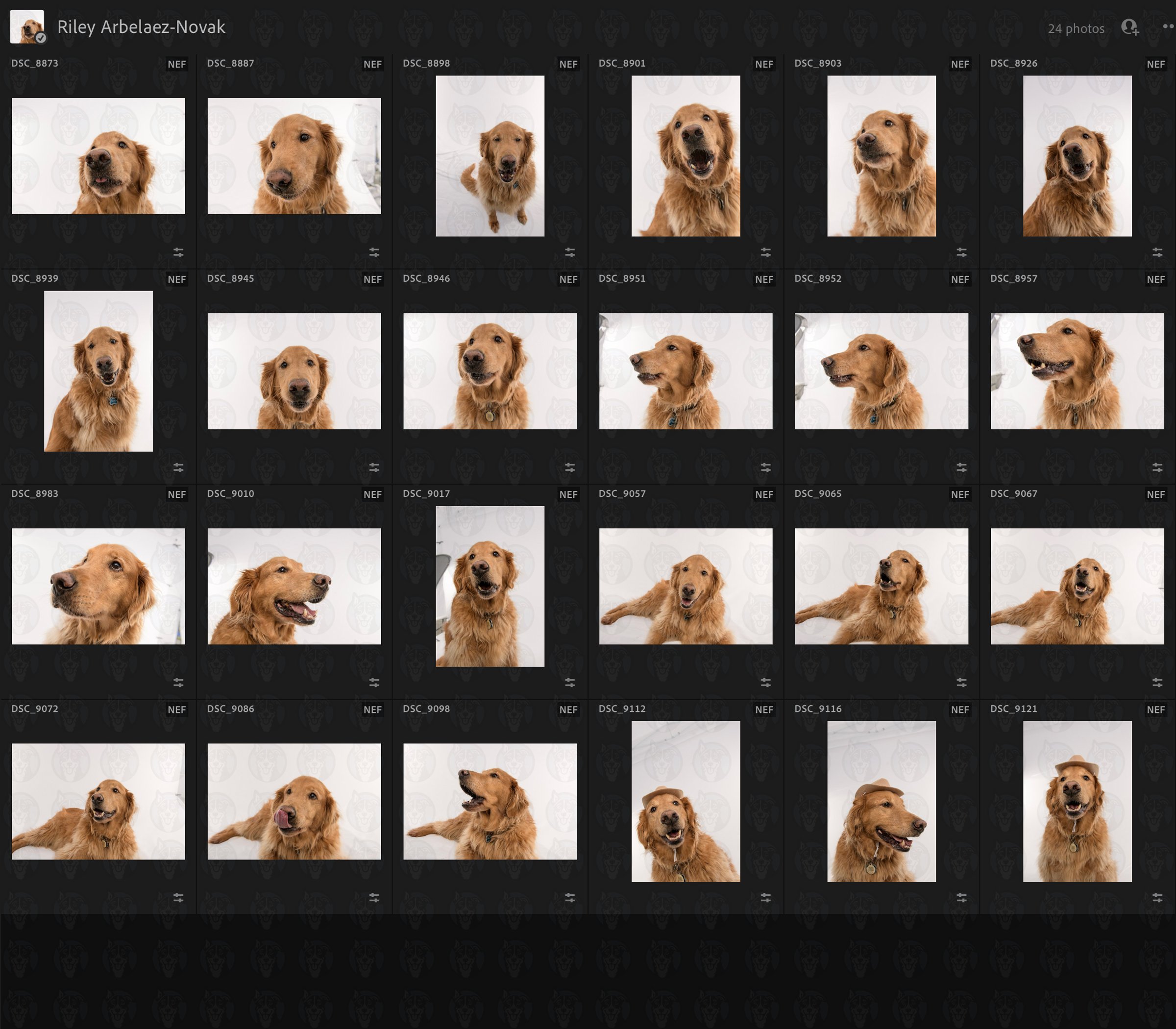 Riley Grid.jpg