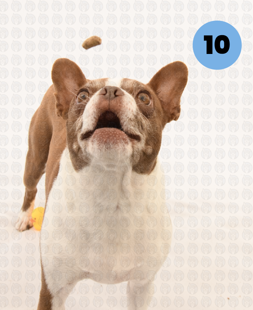 Screenshot 2026-01-12 at 11.30.08 AM copy.png