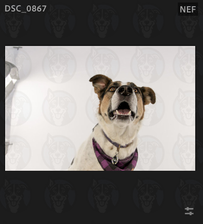 Screenshot 2025-02-01 at 8.54.46 AM.png