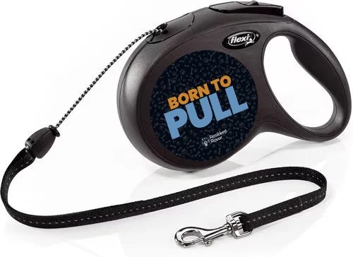 Flexi Retractable Leash with High-Vis Message