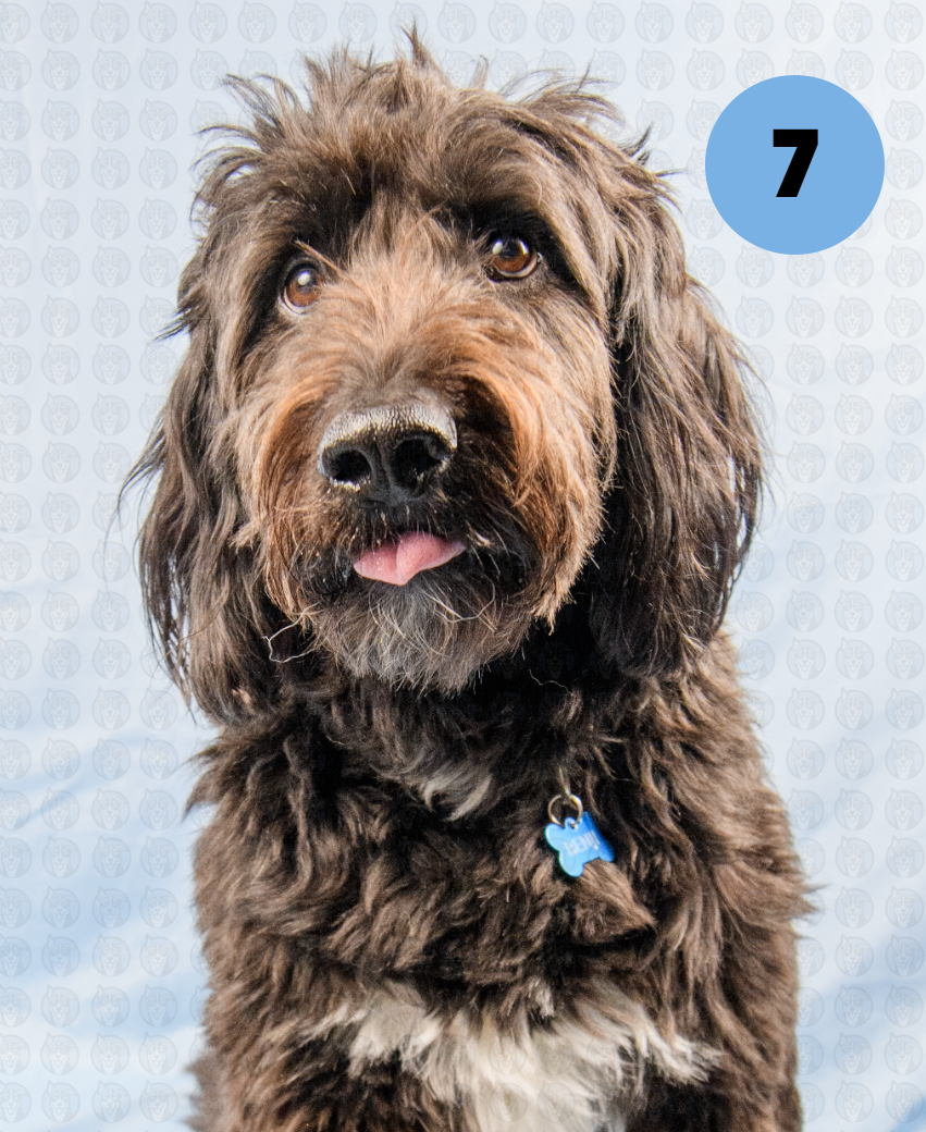 Screenshot 2025-12-22 at 7.02.11 AM copy.png