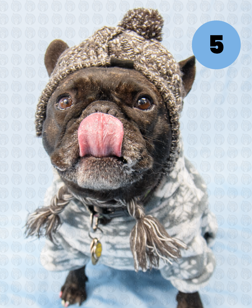 Photographer's Selects of Ross Thornton