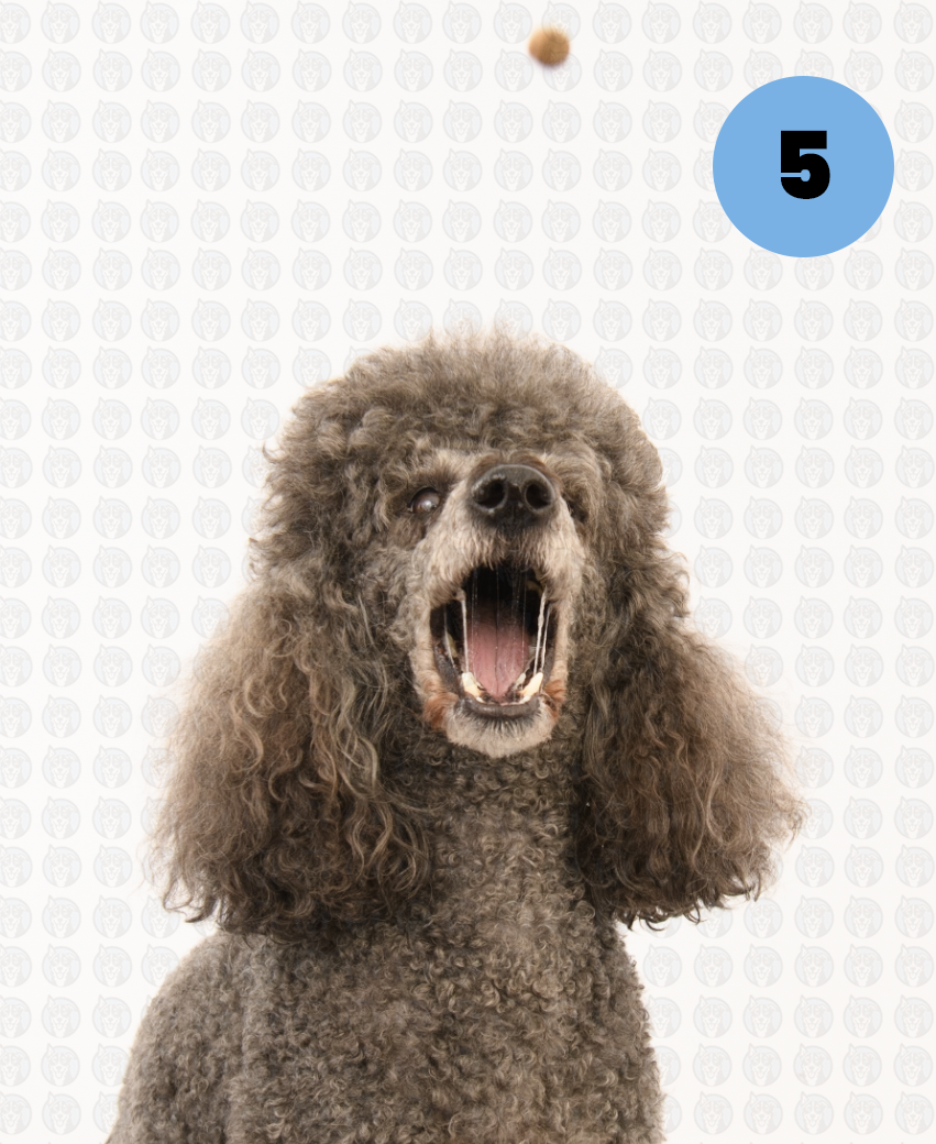 Screenshot 2026-01-12 at 11.11.03 AM copy.png