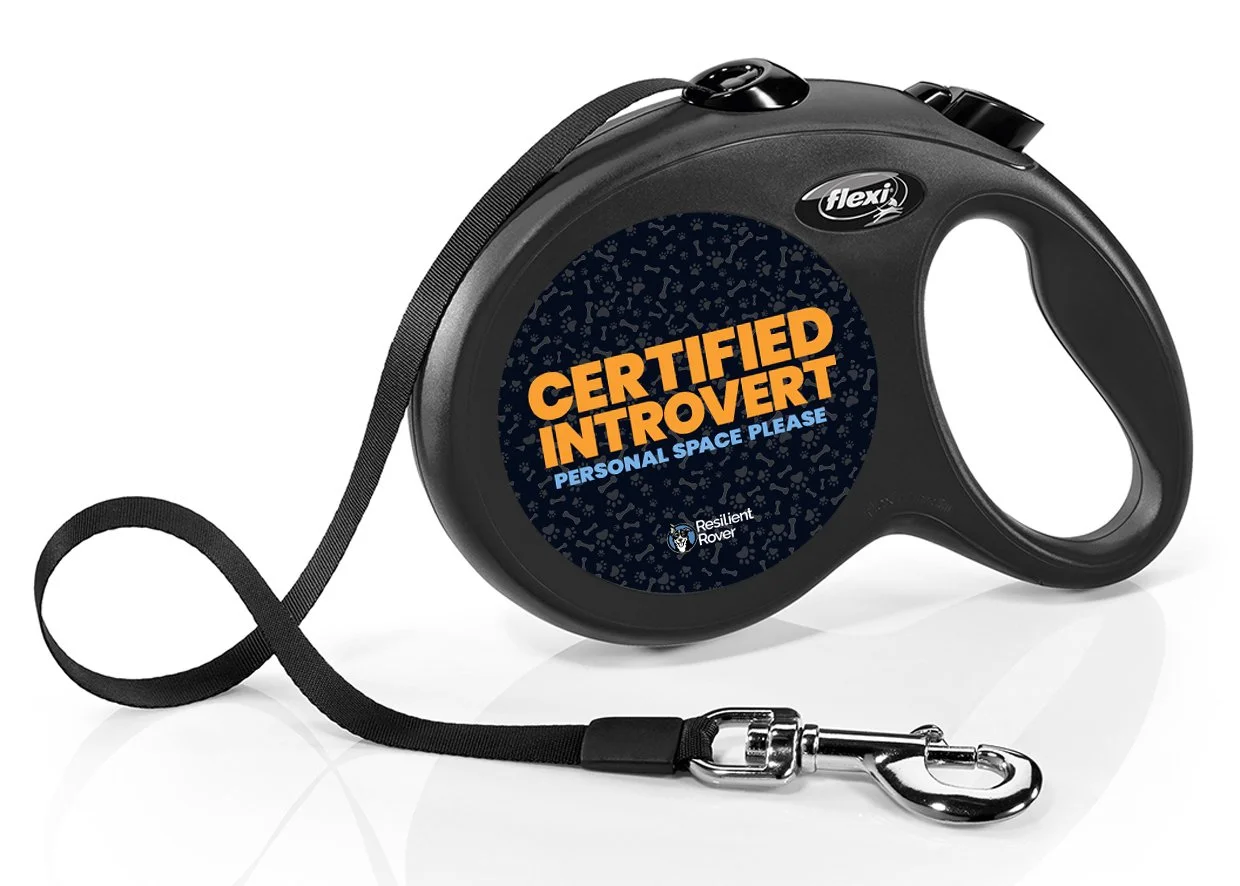 Flexi Retractable Leash with High-Vis Message