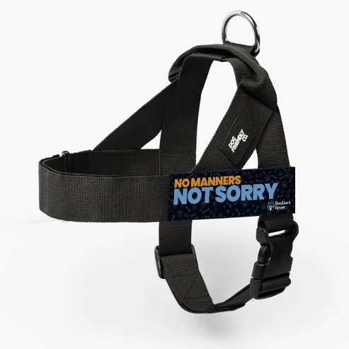 No Manners_DF Harness_Black.jpg