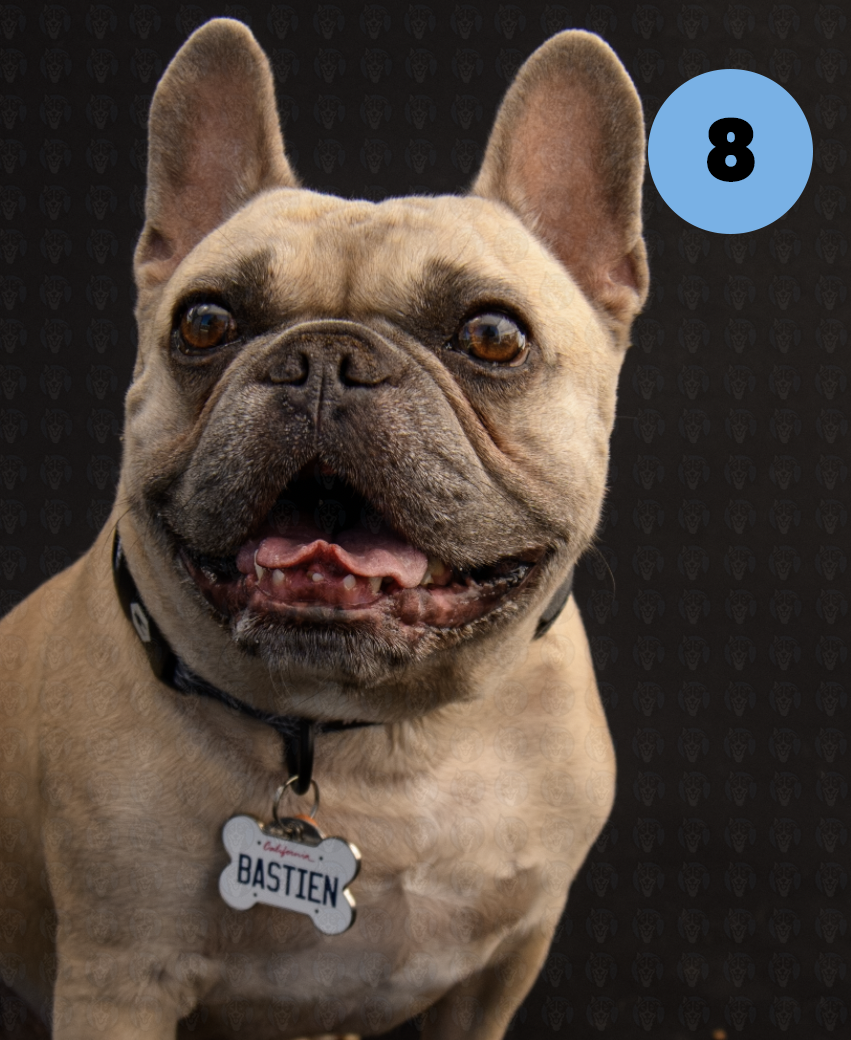 Screenshot 2025-10-24 at 1.42.48 PM copy.png