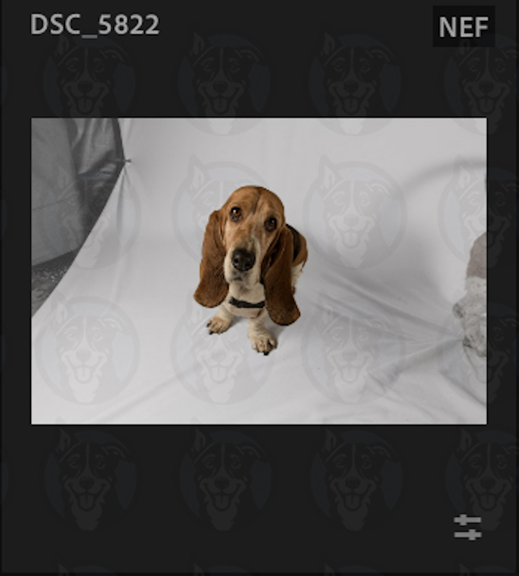 Screenshot 2025-01-22 at 8.18.56 PM.png
