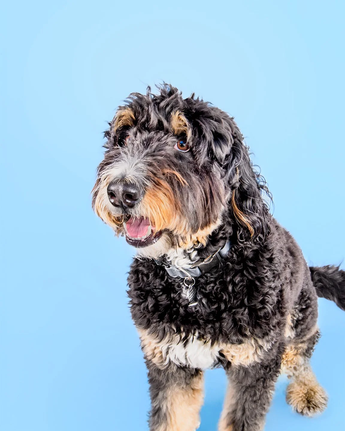 Sierra Portrait_16-20_Lo.jpg