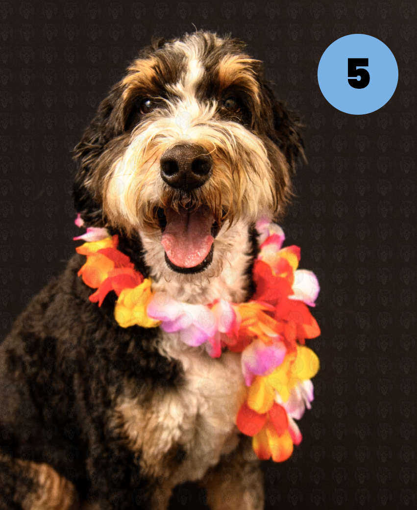 Screenshot 2025-10-24 at 2.49.59 PM copy.png