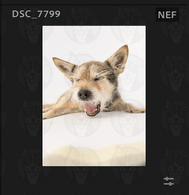 Screenshot 2025-02-16 at 5.13.54 PM.png