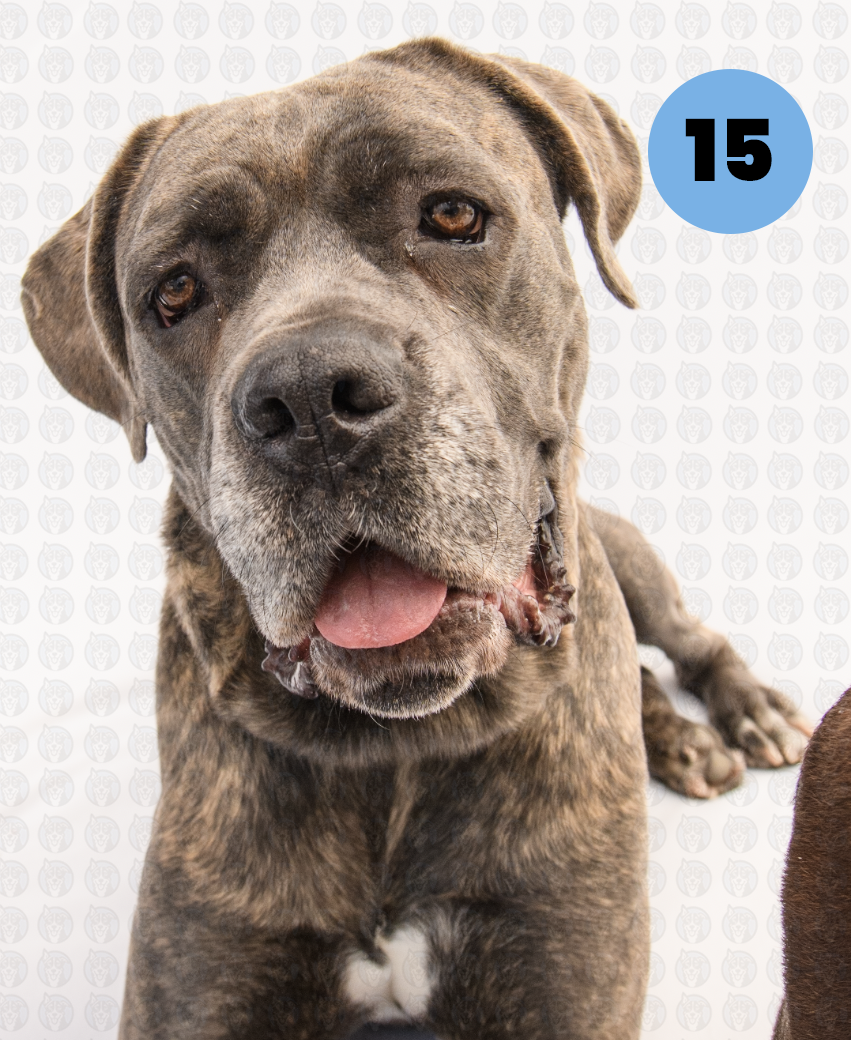 Screenshot 2026-01-12 at 11.54.52 AM copy.png