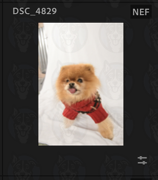 Screenshot 2025-02-12 at 11.02.52 AM.png