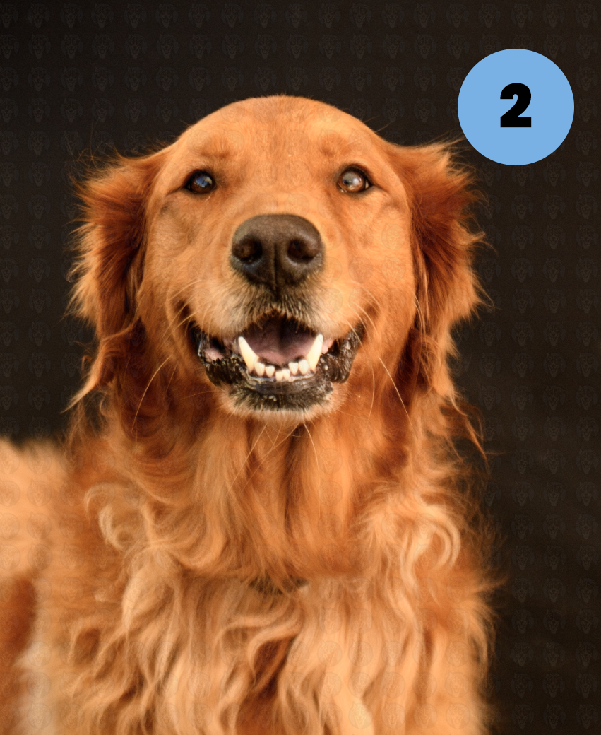 Screenshot 2025-10-24 at 2.12.11 PM copy.png