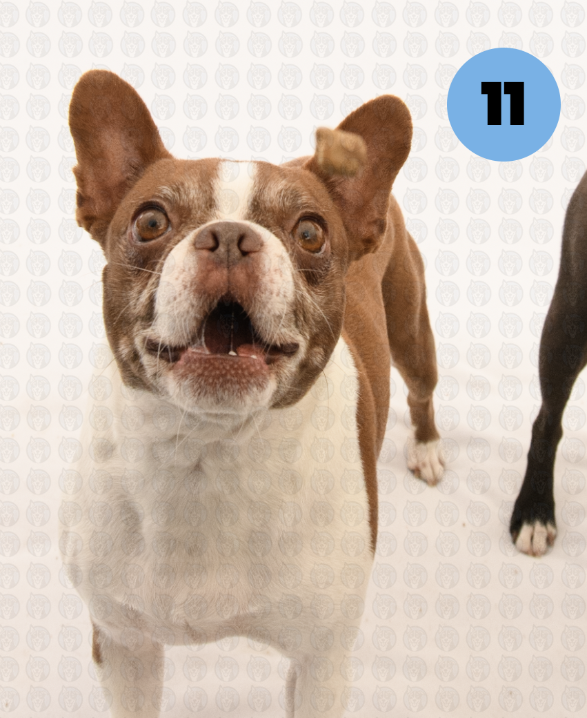 Screenshot 2026-01-12 at 11.30.13 AM copy.png