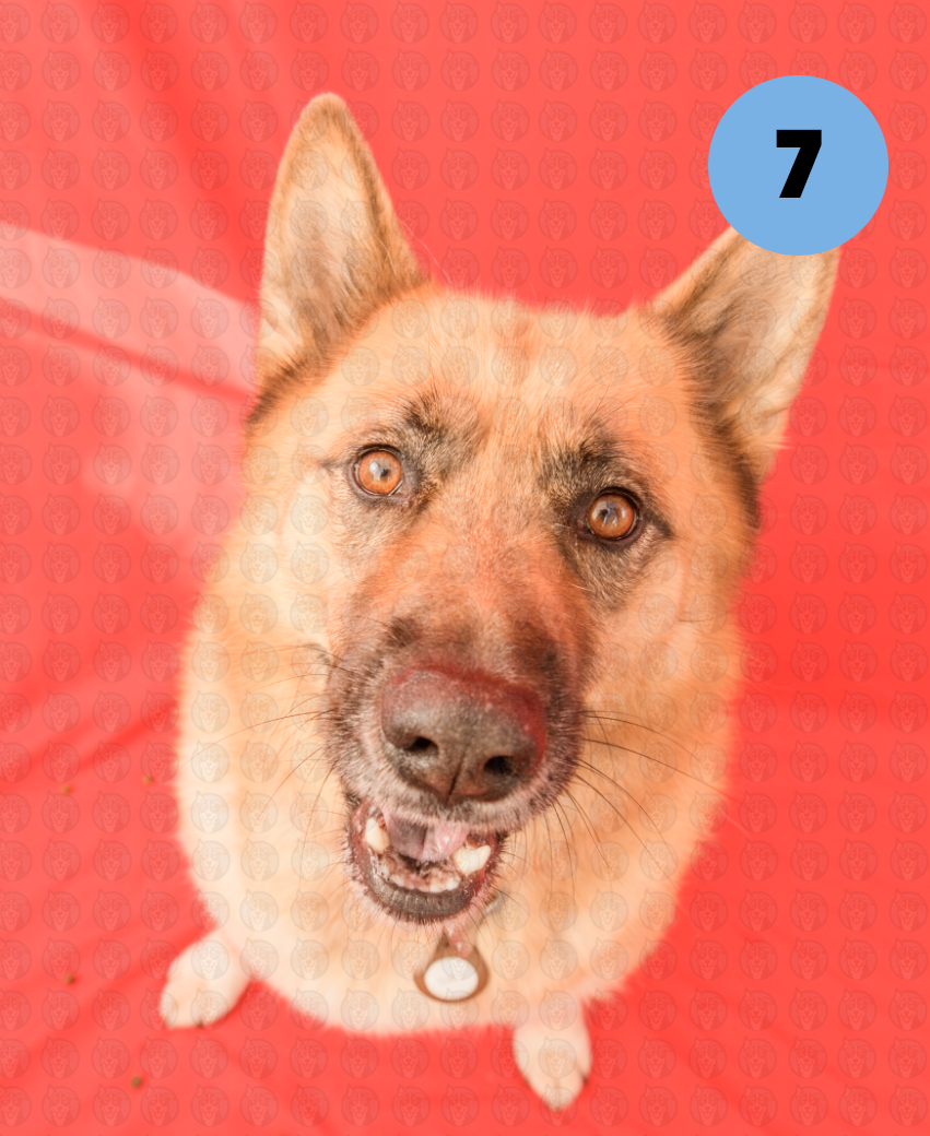 Screenshot 2025-12-10 at 2.56.04 PM copy.png