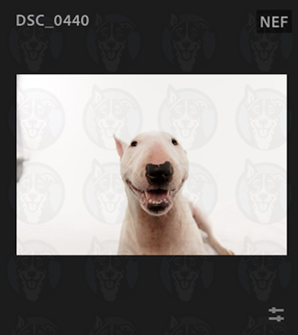 Screenshot 2025-02-01 at 8.51.04 AM.png