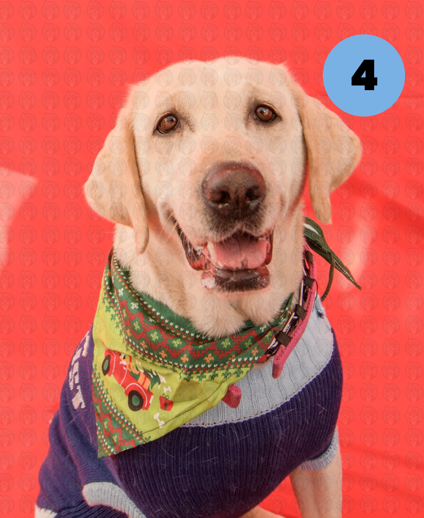 Photographer's Selects of Roxy and Molly Houston