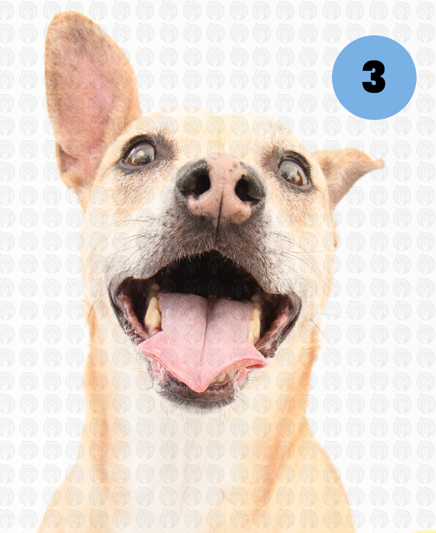 Screenshot 2026-01-12 at 11.44.10 AM copy.png