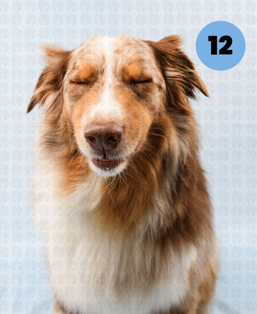 Screenshot 2025-12-16 at 9.55.28 AM copy.png