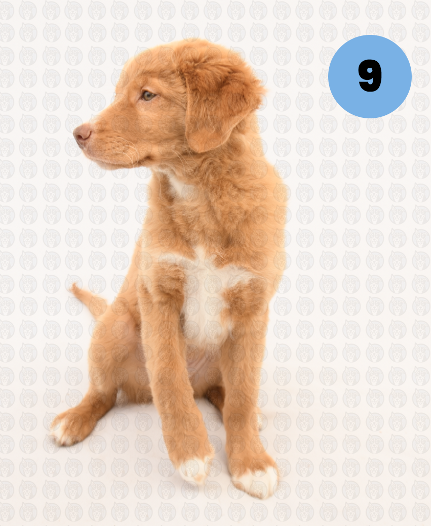 Screenshot 2026-01-12 at 11.36.10 AM copy.png