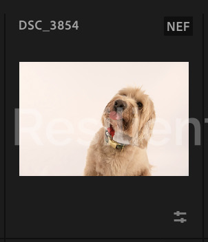 Screenshot 2024-12-18 at 8.49.31 AM.png