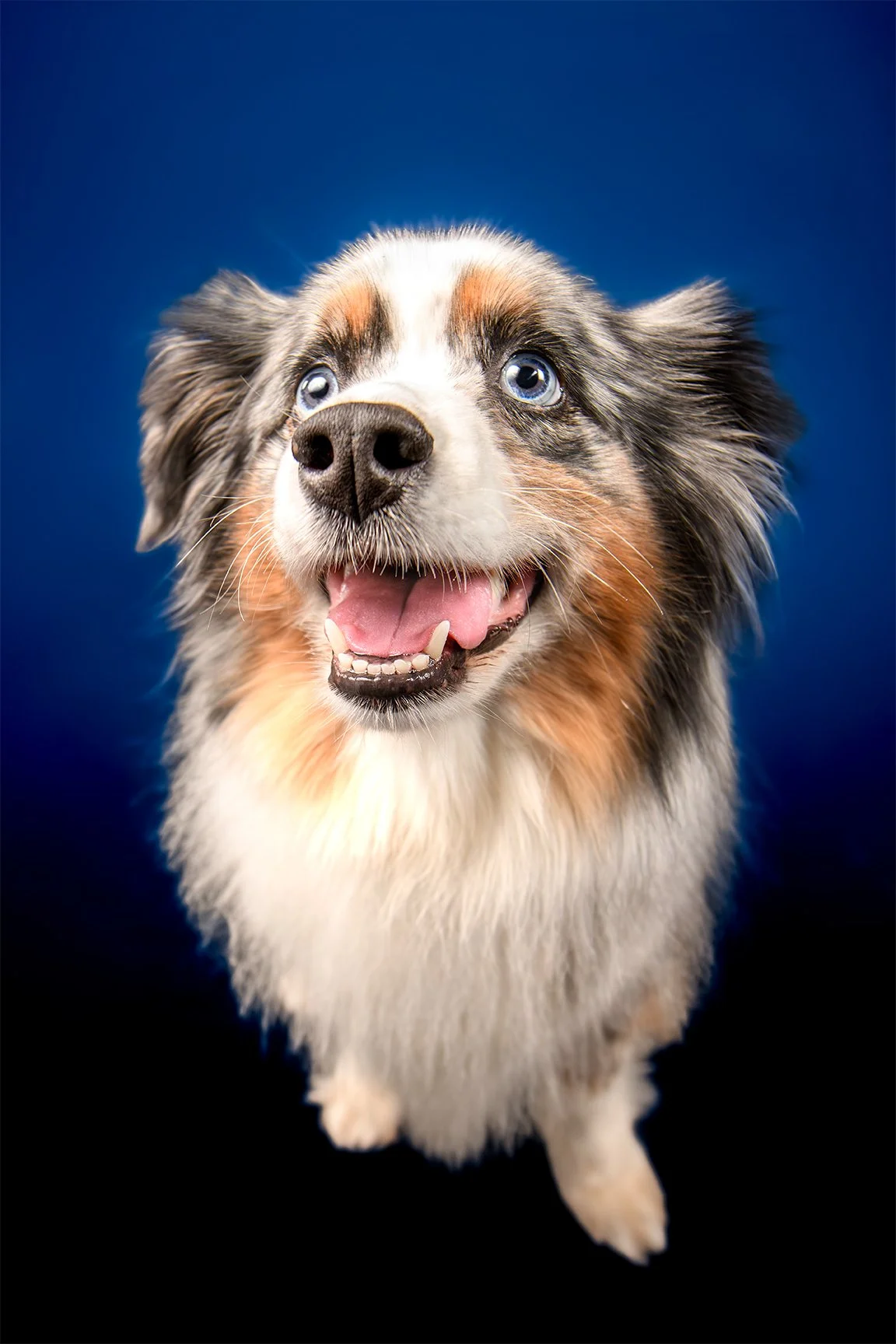 Carson Image 1_16-24_Lo.jpg