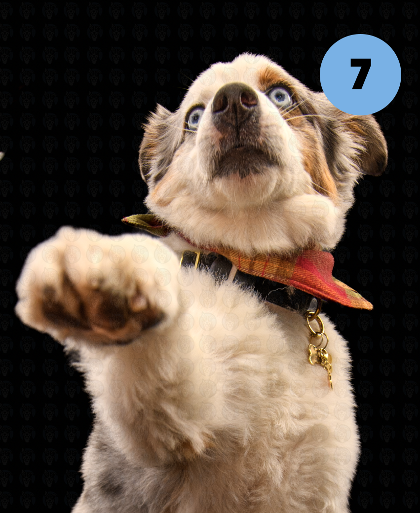 Screenshot 2025-10-17 at 7.34.41 PM copy.png