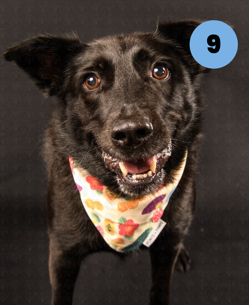 Screenshot 2025-10-23 at 1.12.42 PM copy.png