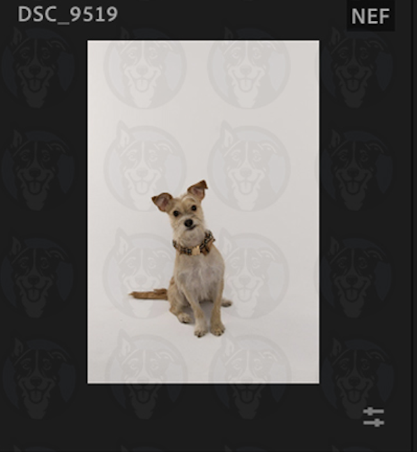 Screenshot 2025-02-01 at 8.46.49 AM.png