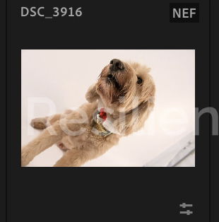 Screenshot 2024-12-18 at 8.49.52 AM.png