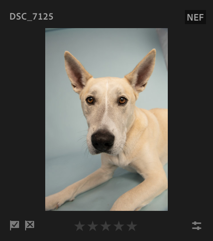 Screenshot 2024-11-21 at 4.05.45 PM.png