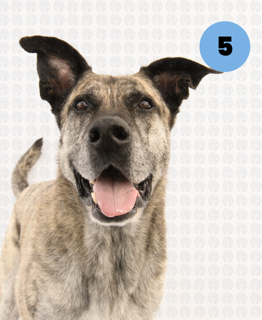 Screenshot 2026-01-12 at 11.22.06 AM copy.png