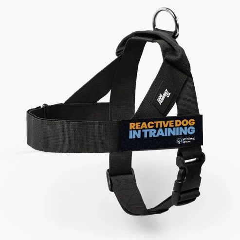 Reactive Dog Harness.jpg