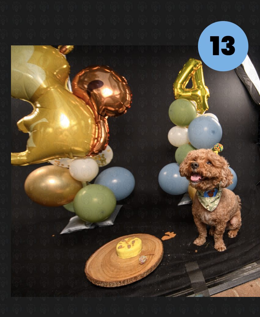 Screenshot 2025-10-23 at 1.20.20 PM copy.png