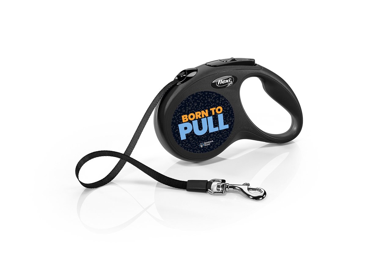 Flexi Retractable Leash with High-Vis Message