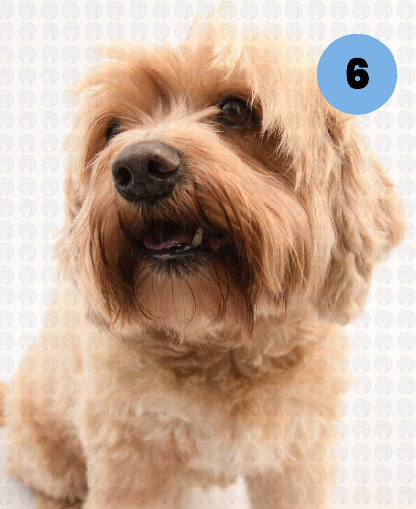 Screenshot 2026-01-12 at 11.18.45 AM copy.png