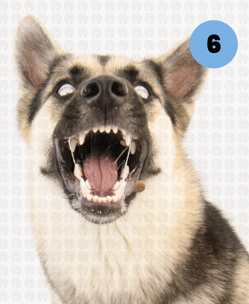 Screenshot 2026-01-12 at 11.39.43 AM copy.png