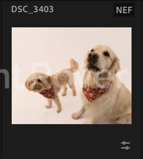 Screenshot 2024-12-18 at 9.16.53 AM.png