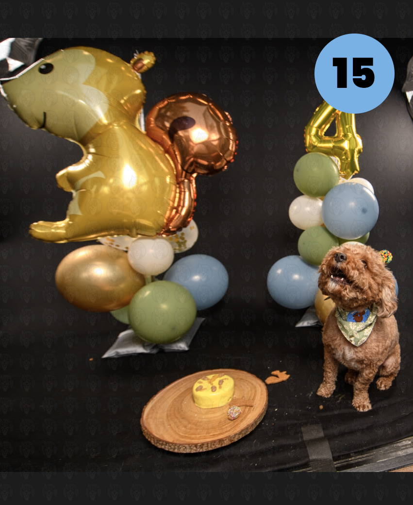 Screenshot 2025-10-23 at 1.20.28 PM copy.png