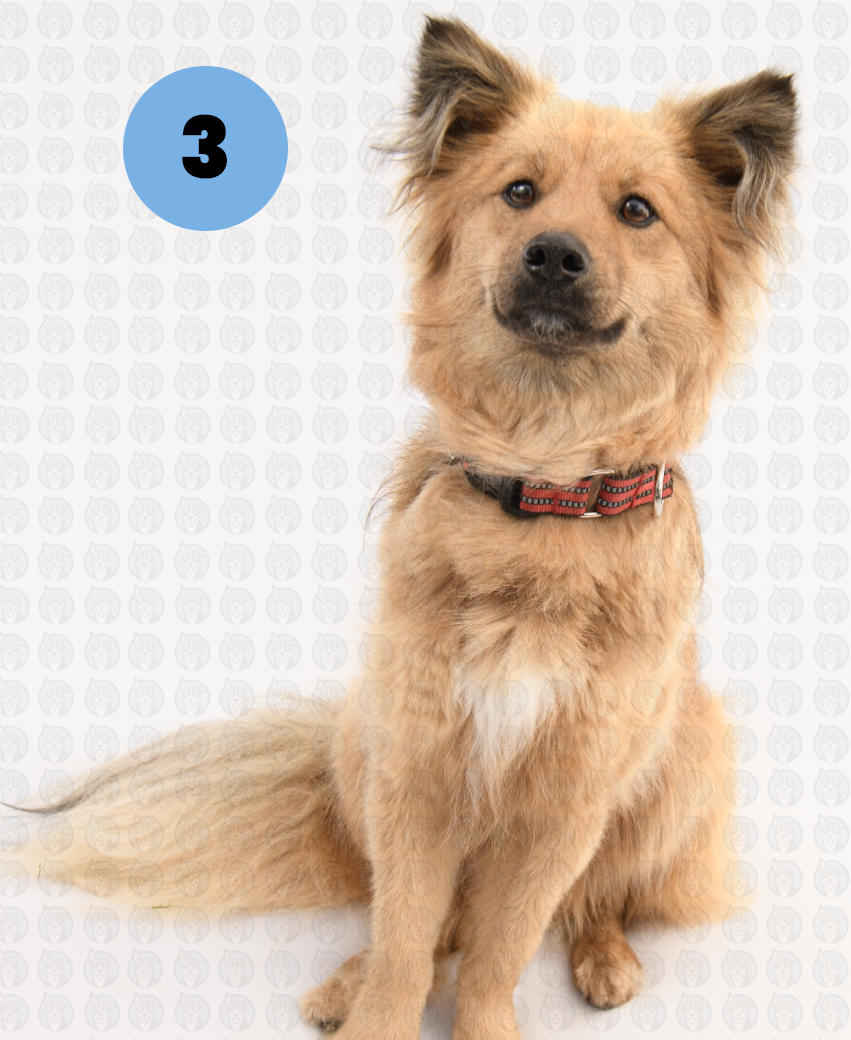 Screenshot 2026-01-12 at 11.14.27 AM copy.png