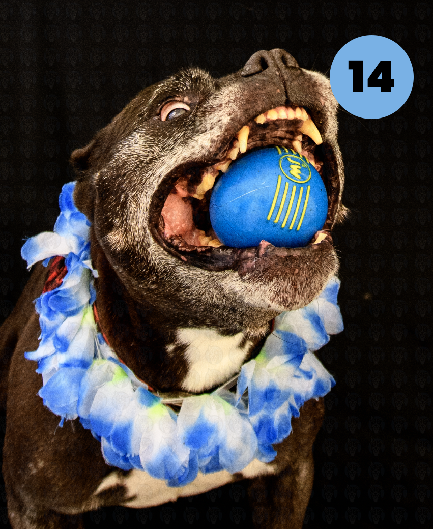 Screenshot 2025-10-24 at 2.32.09 PM copy.png