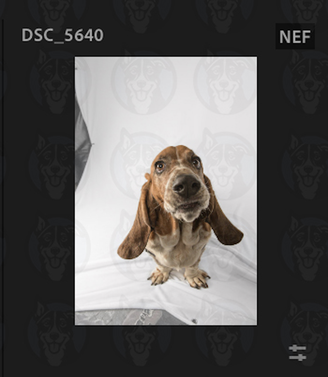 Screenshot 2025-01-22 at 8.17.38 PM.png